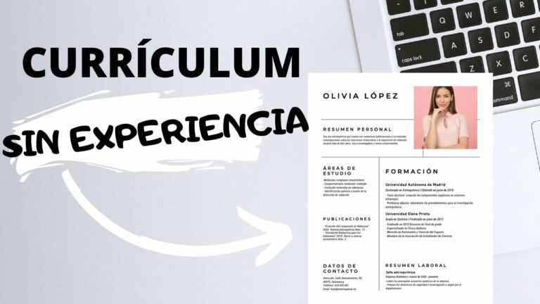 Ejemplos Imprescindibles Del Mejor Perfil Profesional Sin