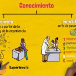 🔍💡¡Descubre cómo adquirir conocimiento mediante la experiencia! Aprende de los expertos y amplía tus horizontes 🌍✨