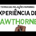 🌟 Descubre la ✨ Experiencia Hawthorne: Resultados sorprendentes que transformarán tu negocio 🚀