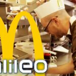🍔 Descubre la increíble y deliciosa experiencia McDonald’s: todo lo que debes saber 🍟