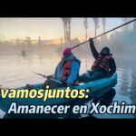 🚣‍♀️Descubre la Mejor Experiencia en Xochimilco: Un Paseo Inolvidable en las Tradicionales Trajineras