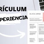 🔎 ¿Qué habilidades poner en un currículum sin experiencia? Descubre las claves para destacar 🌟
